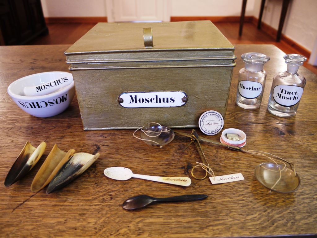 Hier ist eigentlich ein Bild. Bitte aktivieren Sie die Bildanzeige.