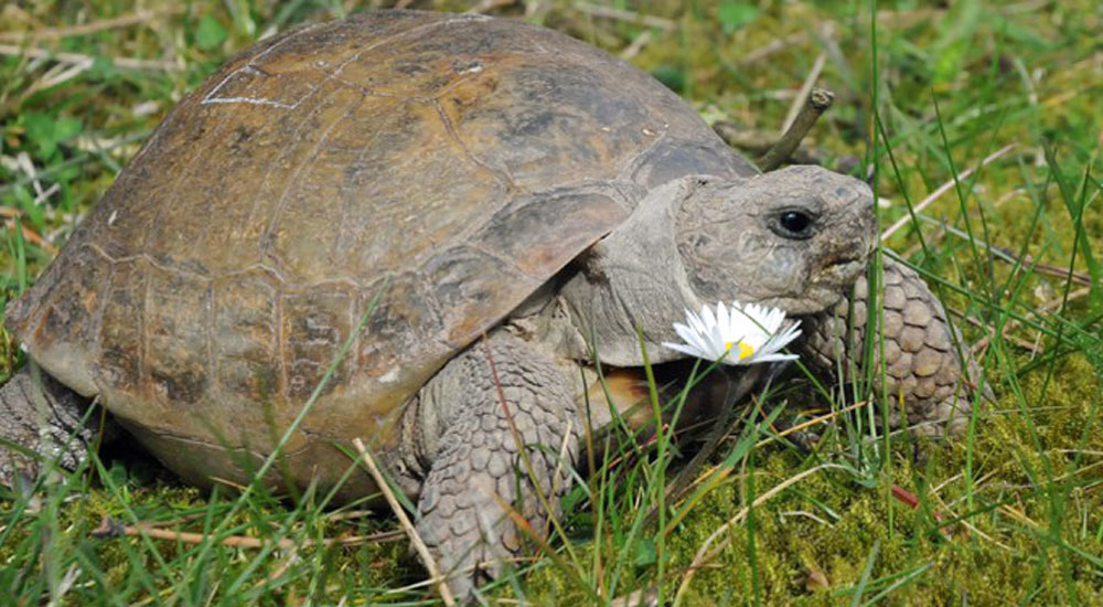 Hier ist eigentlich ein Bild. Bitte aktivieren Sie die Bildanzeige.