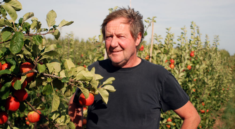 Hier ist eigentlich ein Bild. Bitte aktivieren Sie die Bildanzeige.