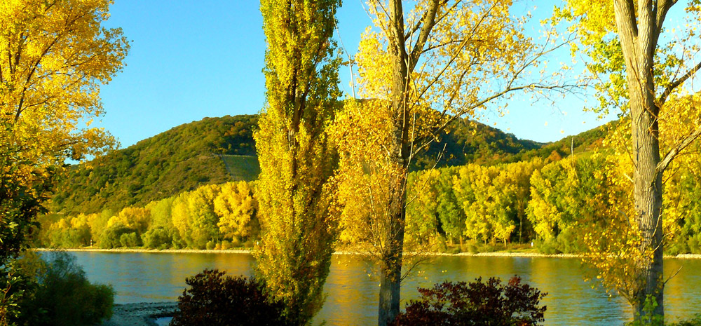 Hier ist eigentlich ein Bild. Bitte aktivieren Sie die Bildanzeige.