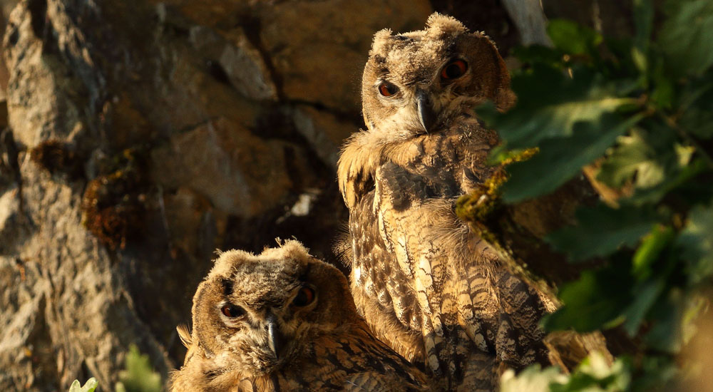 Hier ist eigentlich ein Bild. Bitte aktivieren Sie die Bildanzeige.