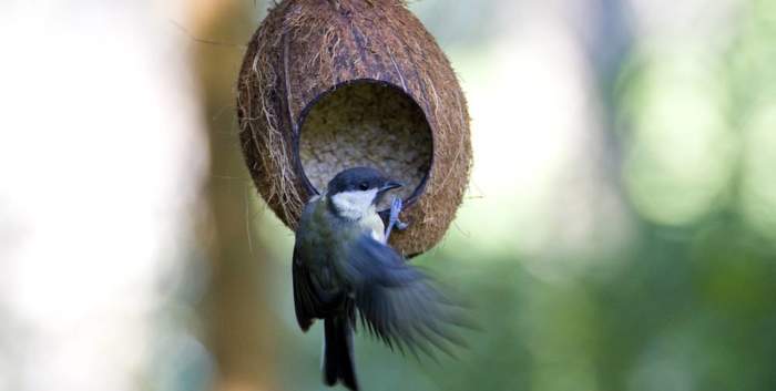 Hier ist eigentlich ein Bild. Bitte aktivieren Sie die Bildanzeige.