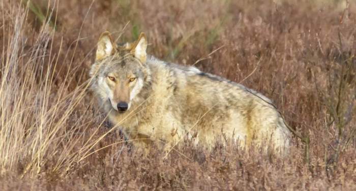 Hier ist eigentlich ein Bild. Bitte aktivieren Sie die Bildanzeige.