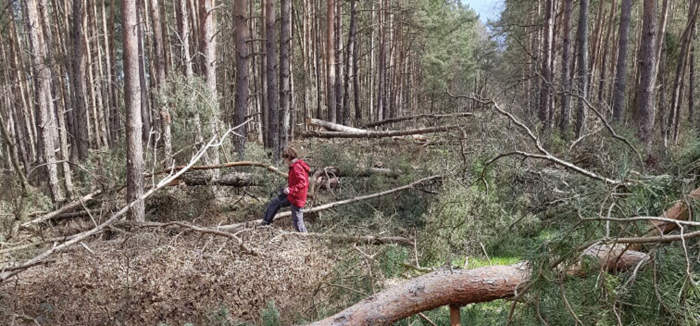 Hier ist eigentlich ein Bild. Bitte aktivieren Sie die Bildanzeige.