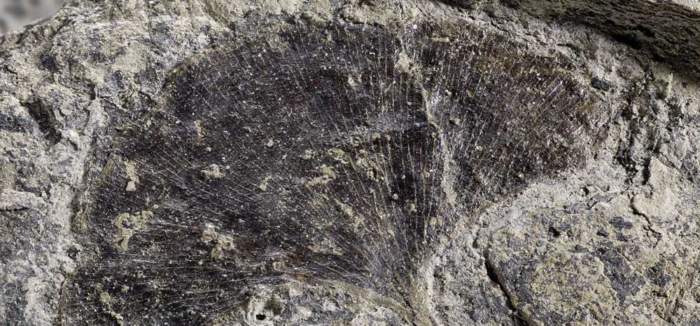 Hier ist eigentlich ein Bild. Bitte aktivieren Sie die Bildanzeige.