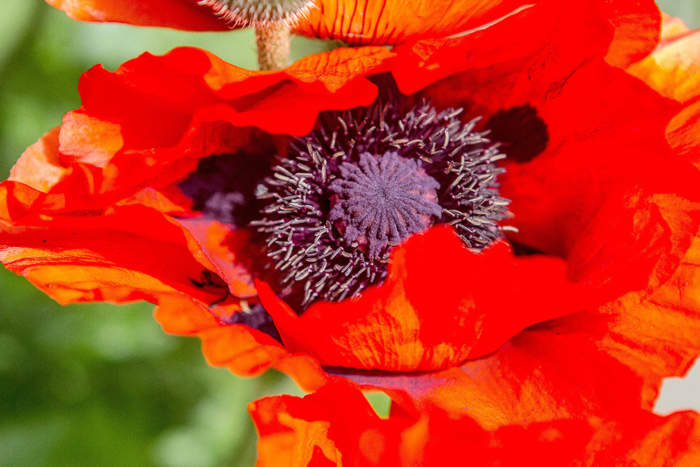 Hier ist eigentlich ein Bild. Bitte aktivieren Sie die Bildanzeige.