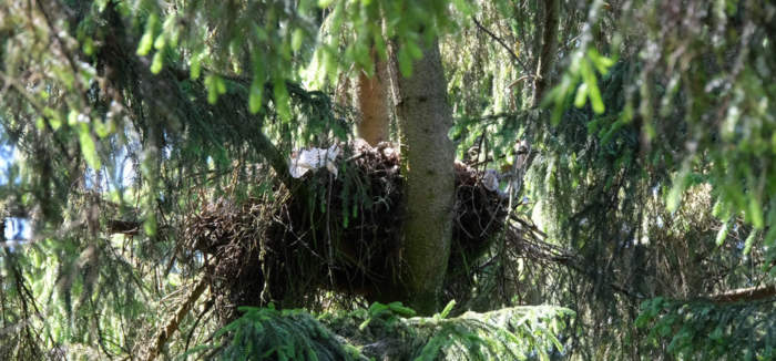 Hier ist eigentlich ein Bild. Bitte aktivieren Sie die Bildanzeige.