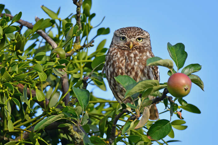 Hier ist eigentlich ein Bild. Bitte aktivieren Sie die Bildanzeige.