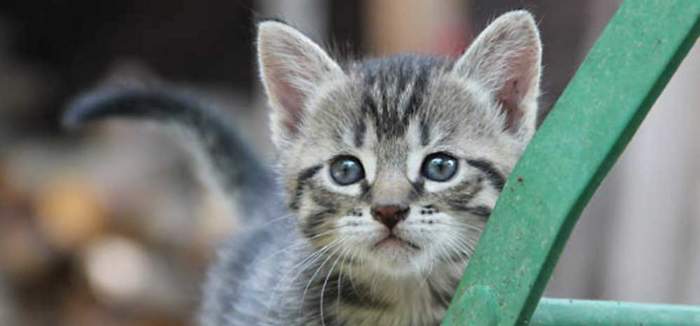 Hier ist eigentlich ein Bild. Bitte aktivieren Sie die Bildanzeige.