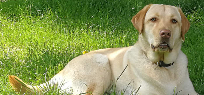 Hier ist eigentlich ein Bild. Bitte aktivieren Sie die Bildanzeige.