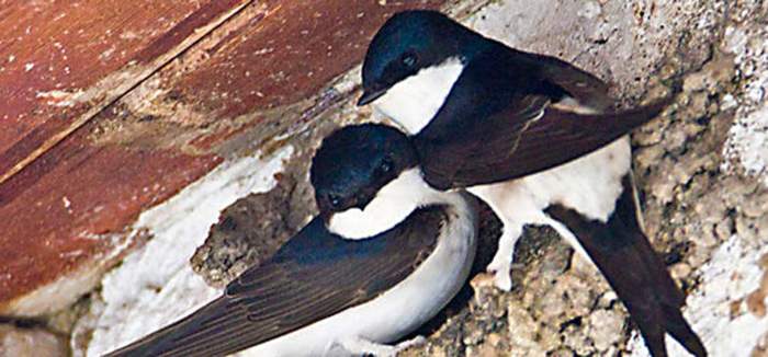 Hier ist eigentlich ein Bild. Bitte aktivieren Sie die Bildanzeige.