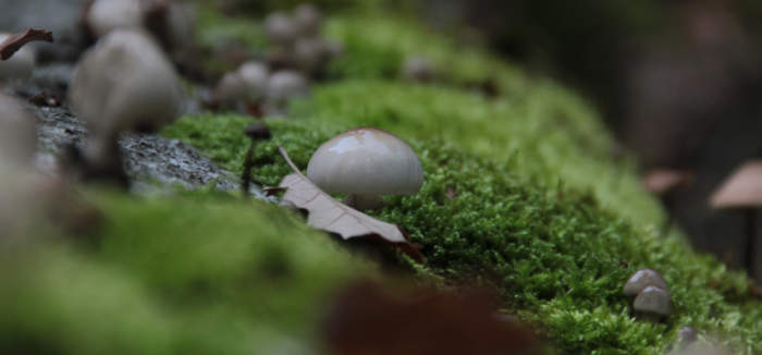 Hier ist eigentlich ein Bild. Bitte aktivieren Sie die Bildanzeige.