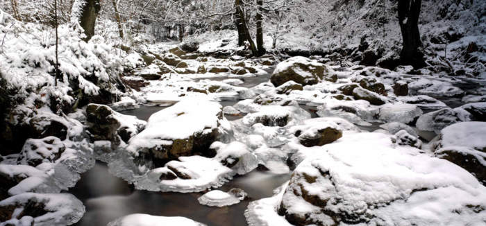 Hier ist eigentlich ein Bild. Bitte aktivieren Sie die Bildanzeige.