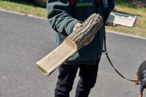Rubinienpflanzung Freilichtmuseum Kommern 2020