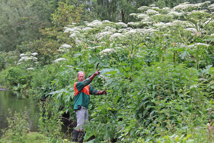 Hier ist eigentlich ein Bild. Bitte aktivieren Sie die Bildanzeige.