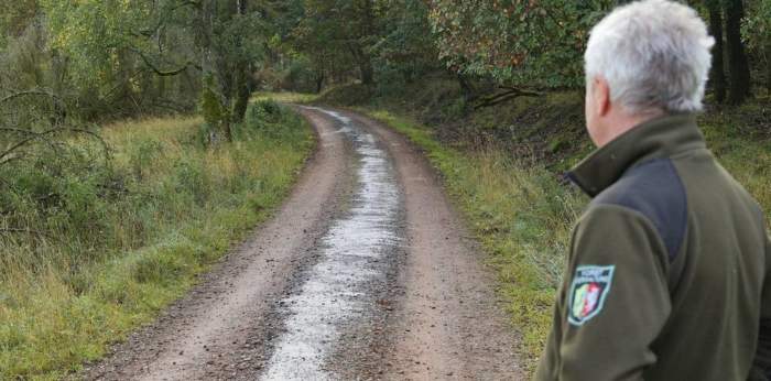Hier ist eigentlich ein Bild. Bitte aktivieren Sie die Bildanzeige.