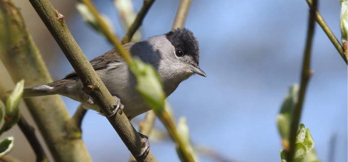 Hier ist eigentlich ein Bild. Bitte aktivieren Sie die Bildanzeige.
