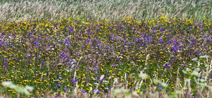 Hier ist eigentlich ein Bild. Bitte aktivieren Sie die Bildanzeige.