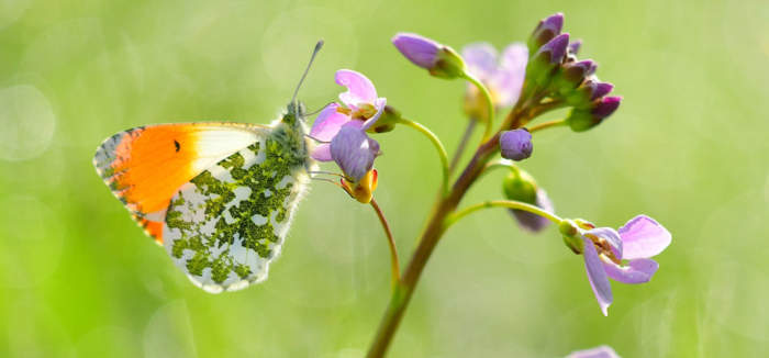 Hier ist eigentlich ein Bild. Bitte aktivieren Sie die Bildanzeige.