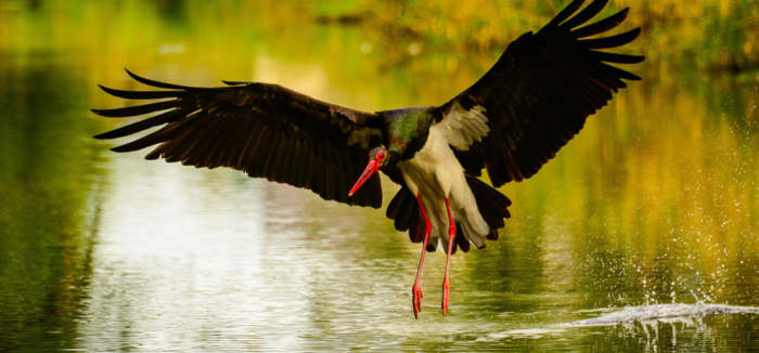 Hier ist eigentlich ein Bild. Bitte aktivieren Sie die Bildanzeige.